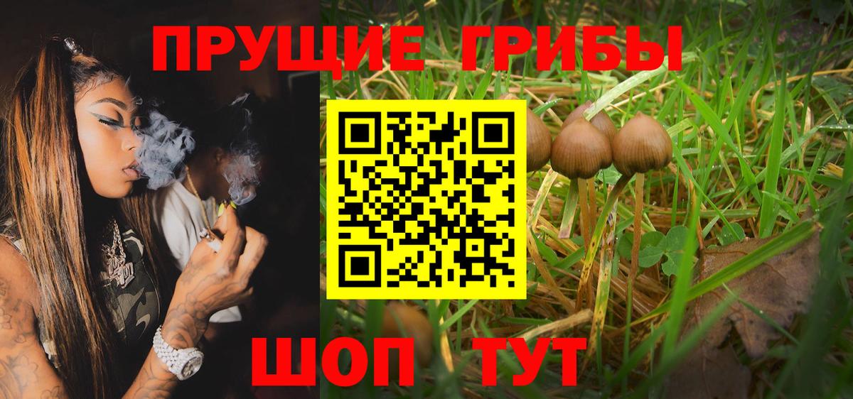 Рязань  Галлюциногенные грибы Psilocybe  Вход с VPN 